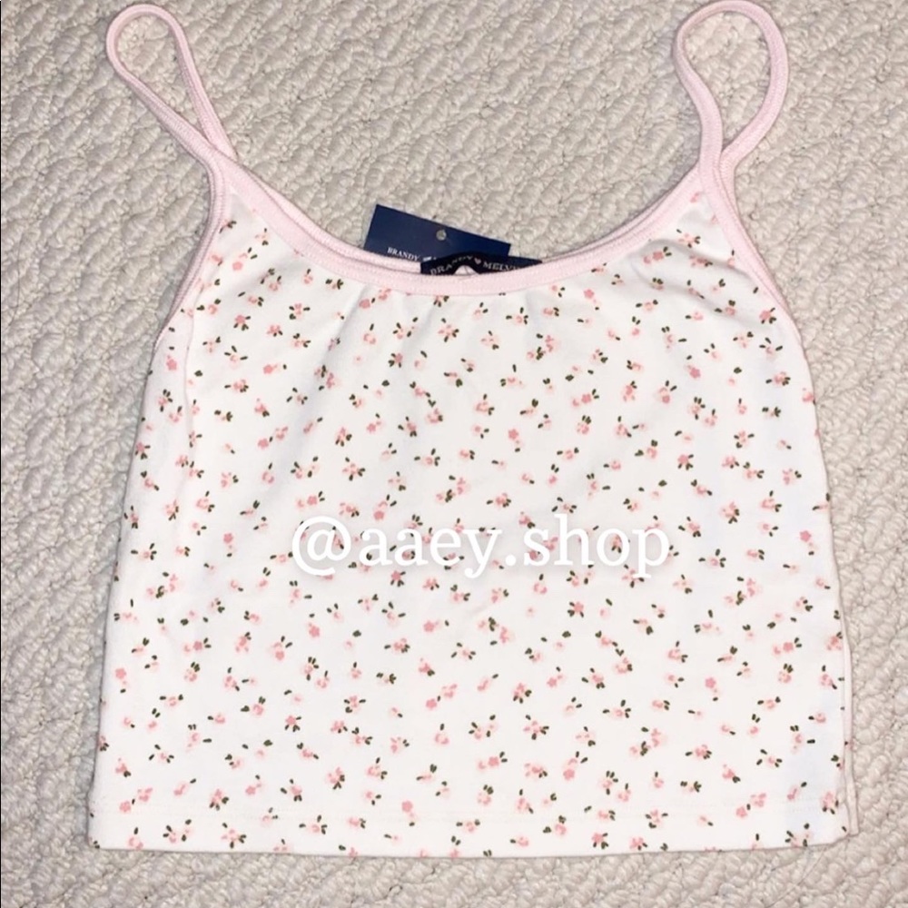 BNWT Brandy Melville Pink lined floral Skylar